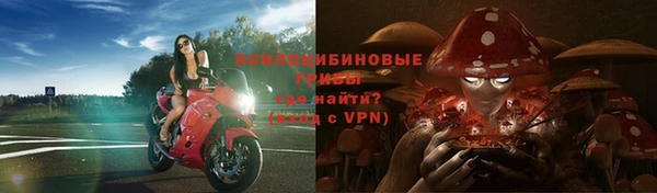 мдпв Верея
